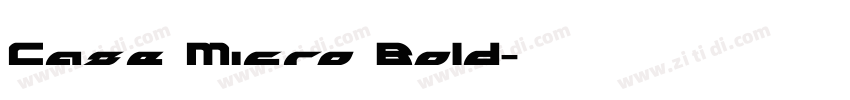 Case Micro Bold字体转换
